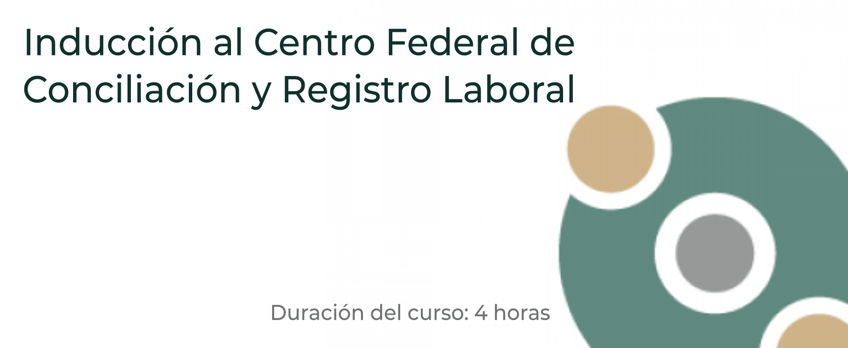 Inducción al Centro Federal de Conciliación y Registro Laboral